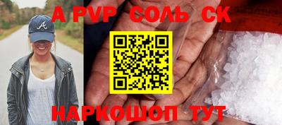 дмт Бердск