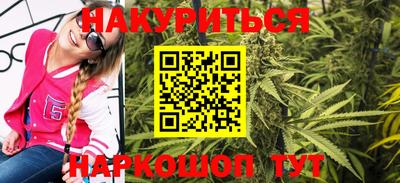дмт Бердск