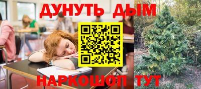 дмт Бердск