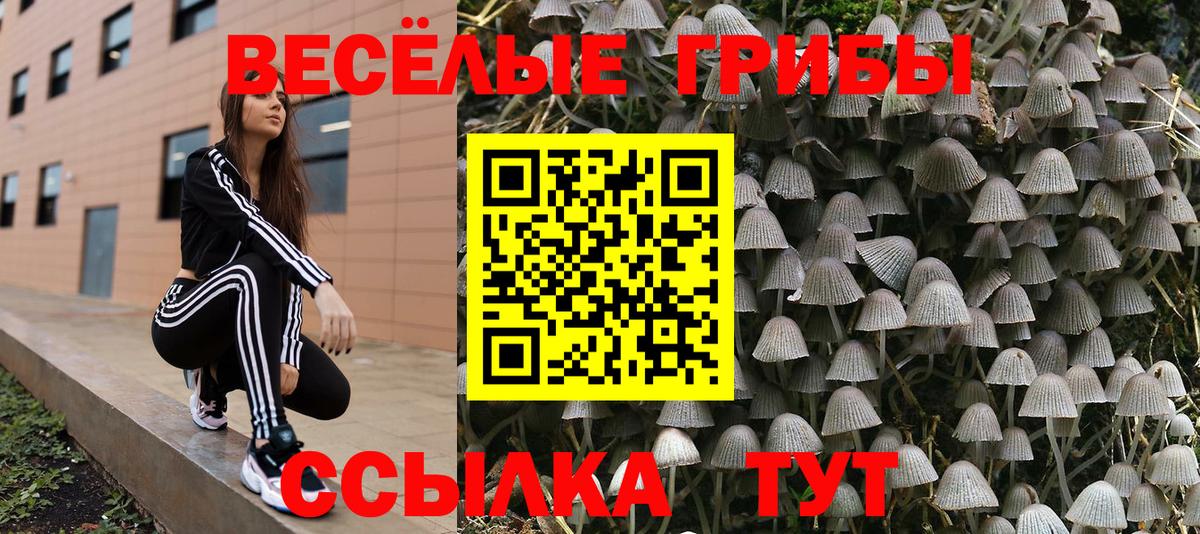 Галлюциногенные грибы прущие грибы Бийск