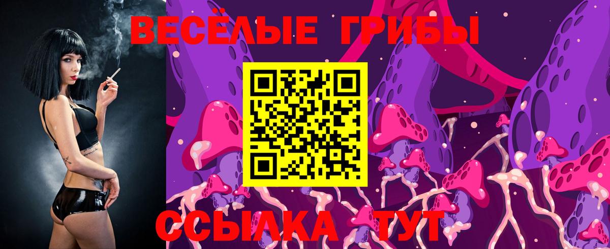 Бийск  Галлюциногенные грибы Psilocybine cubensis  Вход с VPN 